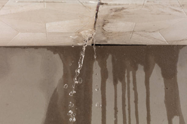 Professional Water Damage Repair technician working in South Bethlehem, NY